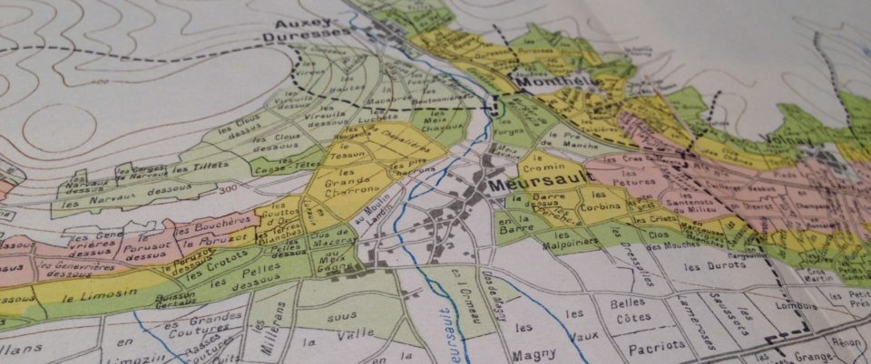 Learning is the key word Learning Burgundy Vineyards